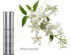 Svg+xml,%3Csvg%20viewBox%3D%220%200%20247%20190%22%20xmlns%3D%22http%3A%2F%2Fwww.w3