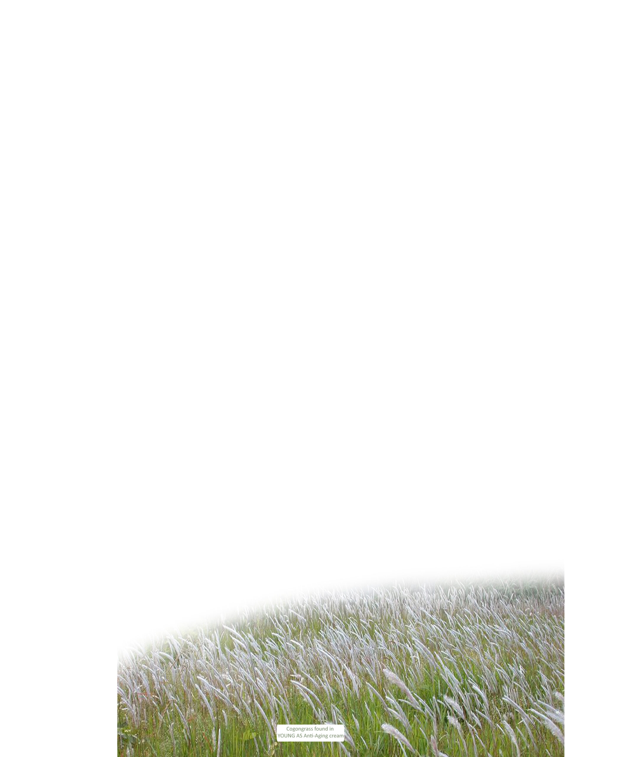 Svg+xml,%3Csvg%20viewBox%3D%220%200%202102%202560%22%20xmlns%3D%22http%3A%2F%2Fwww.w3