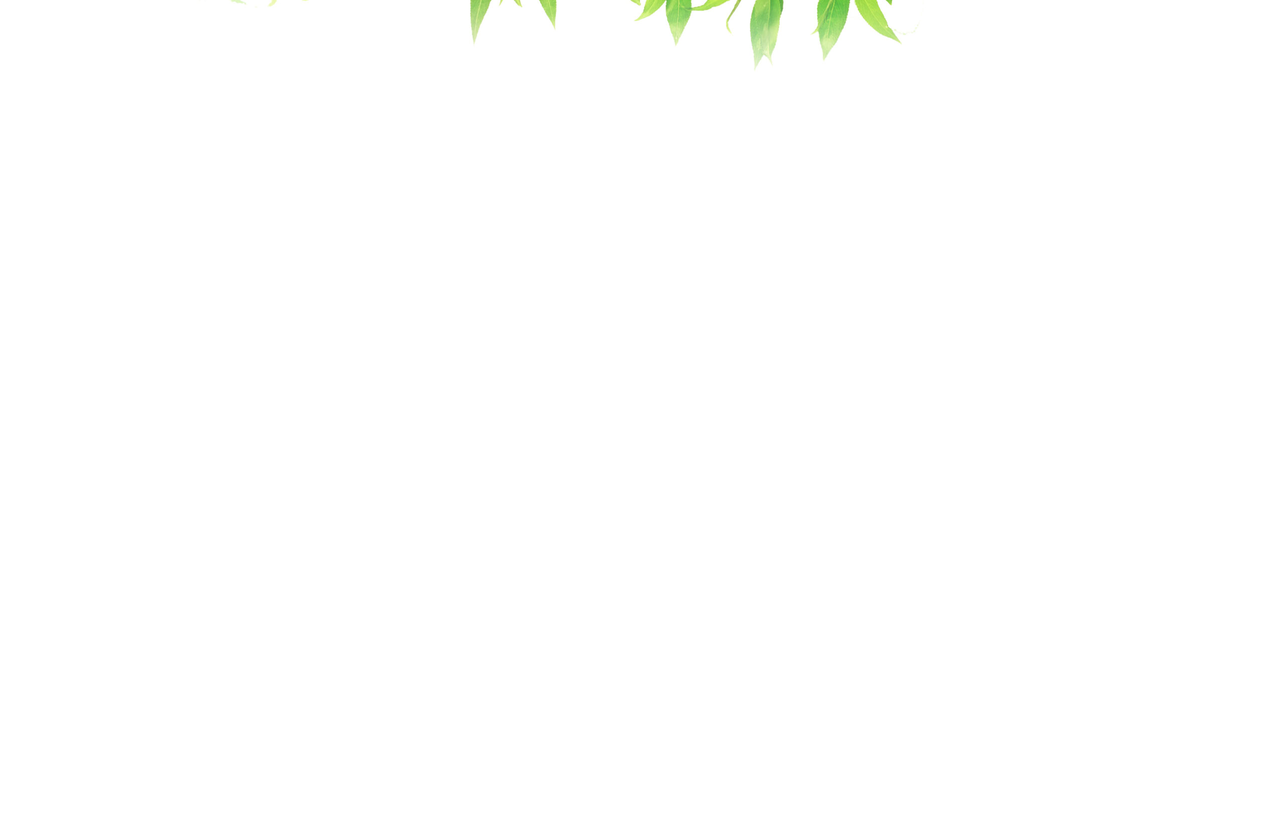 Svg+xml,%3Csvg%20viewBox%3D%220%200%202560%201660%22%20xmlns%3D%22http%3A%2F%2Fwww.w3