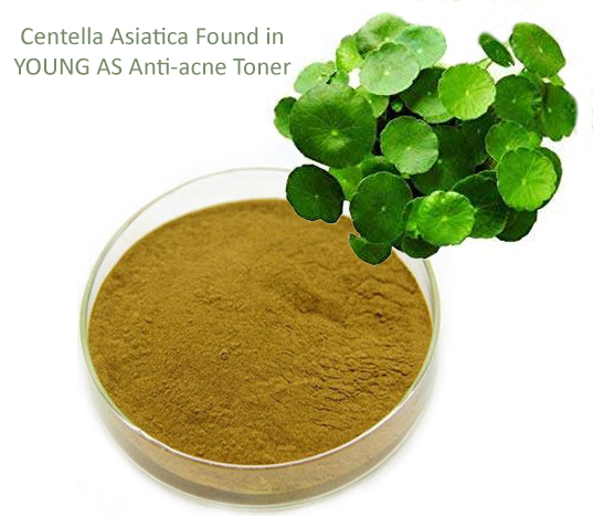 Svg+xml,%3Csvg%20viewBox%3D%220%200%20537%20467%22%20xmlns%3D%22http%3A%2F%2Fwww.w3