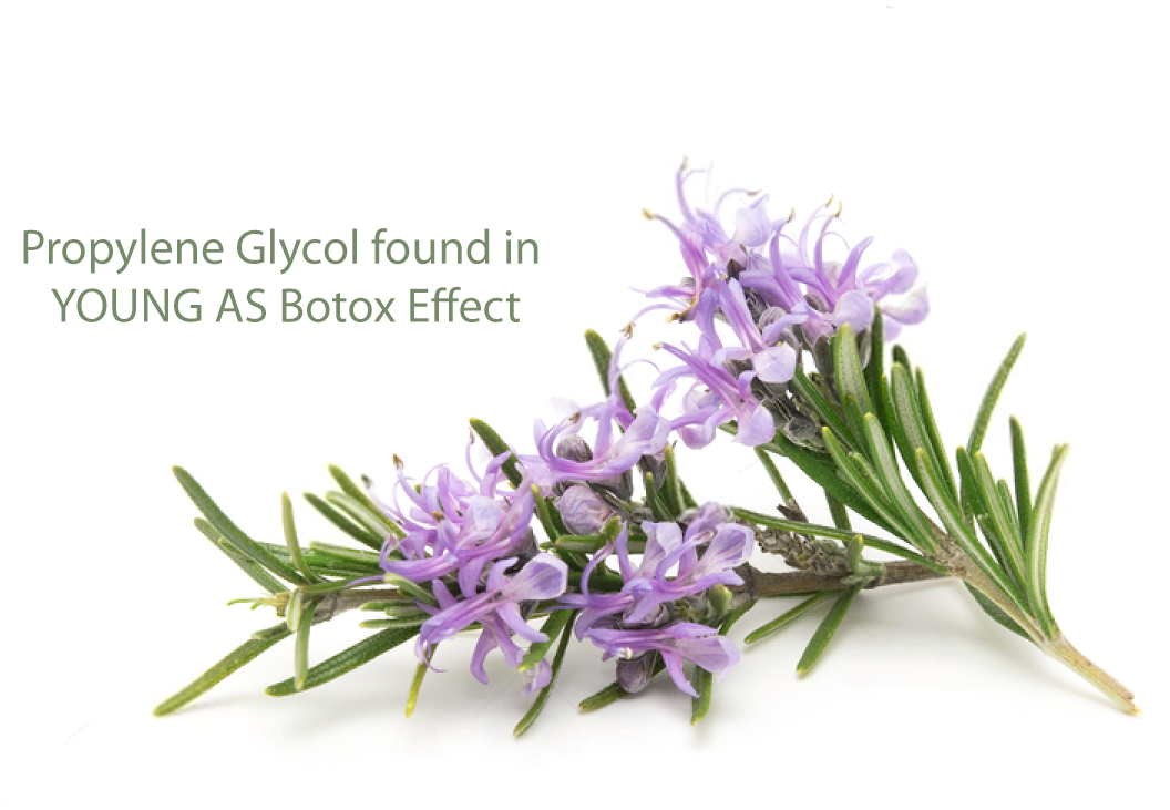 Svg+xml,%3Csvg%20viewBox%3D%220%200%201056%20731%22%20xmlns%3D%22http%3A%2F%2Fwww.w3