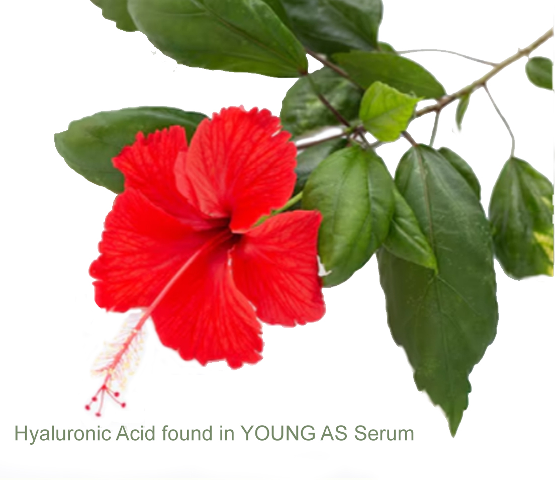 Svg+xml,%3Csvg%20viewBox%3D%220%200%201104%20954%22%20xmlns%3D%22http%3A%2F%2Fwww.w3