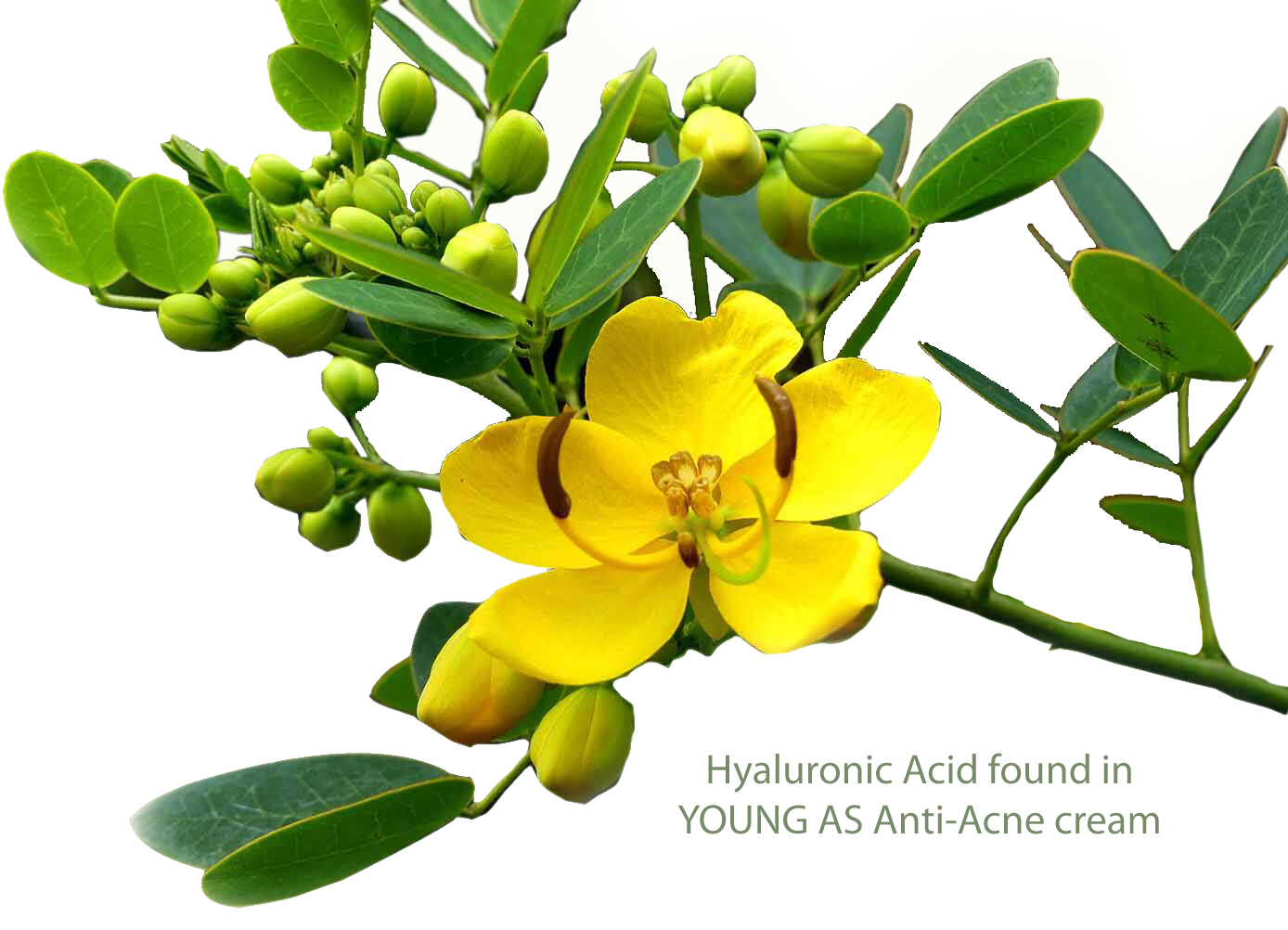 Svg+xml,%3Csvg%20viewBox%3D%220%200%20399%20288%22%20xmlns%3D%22http%3A%2F%2Fwww.w3