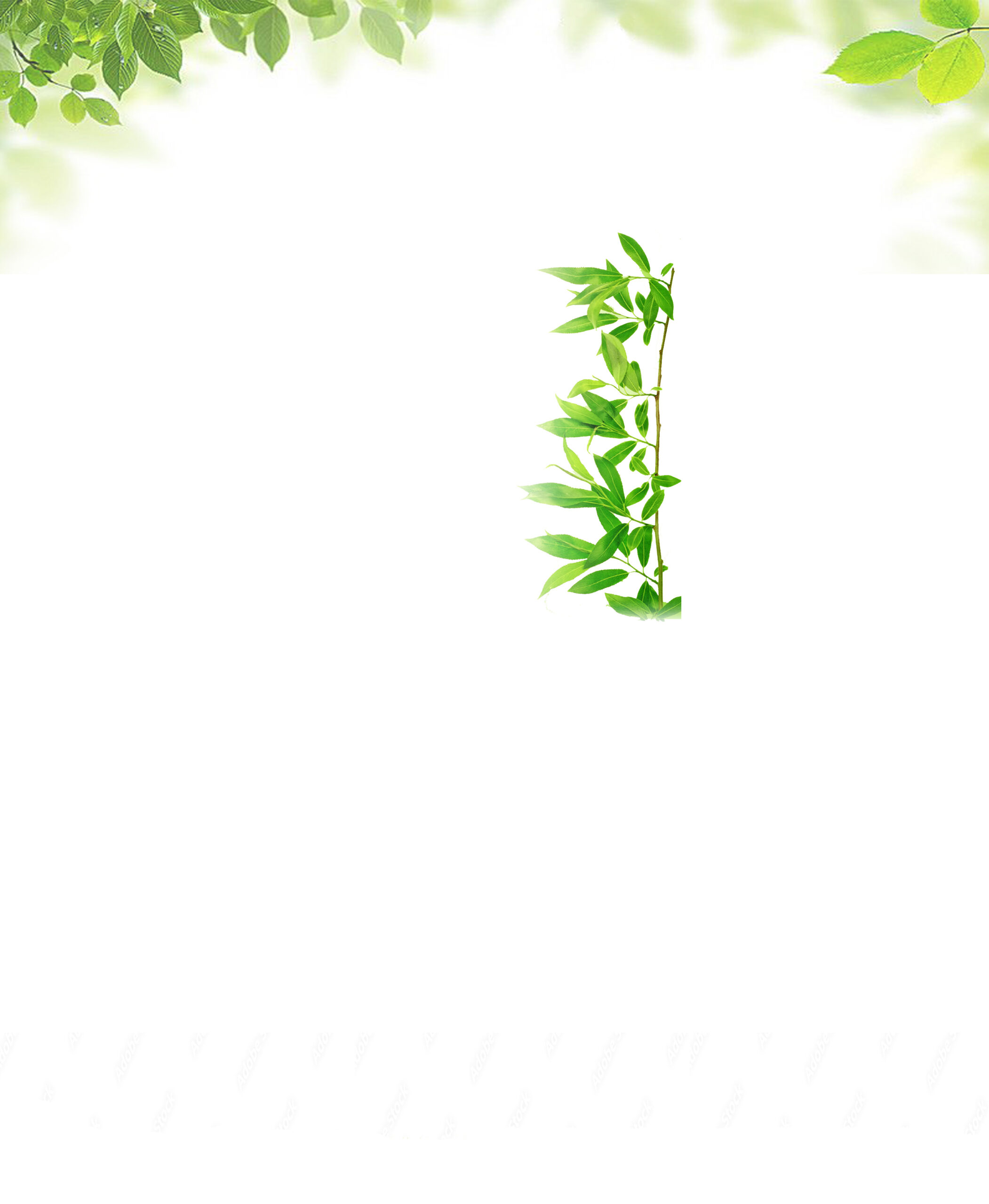 Svg+xml,%3Csvg%20viewBox%3D%220%200%202102%202560%22%20xmlns%3D%22http%3A%2F%2Fwww.w3