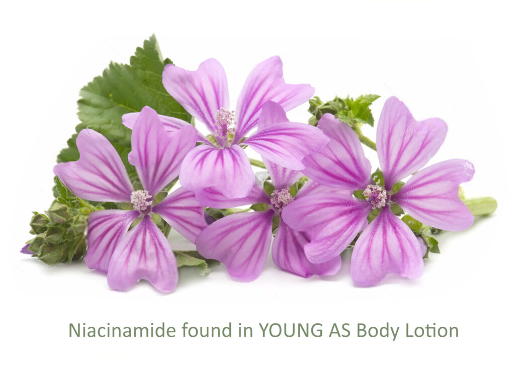 Svg+xml,%3Csvg%20viewBox%3D%220%200%201020%20749%22%20xmlns%3D%22http%3A%2F%2Fwww.w3