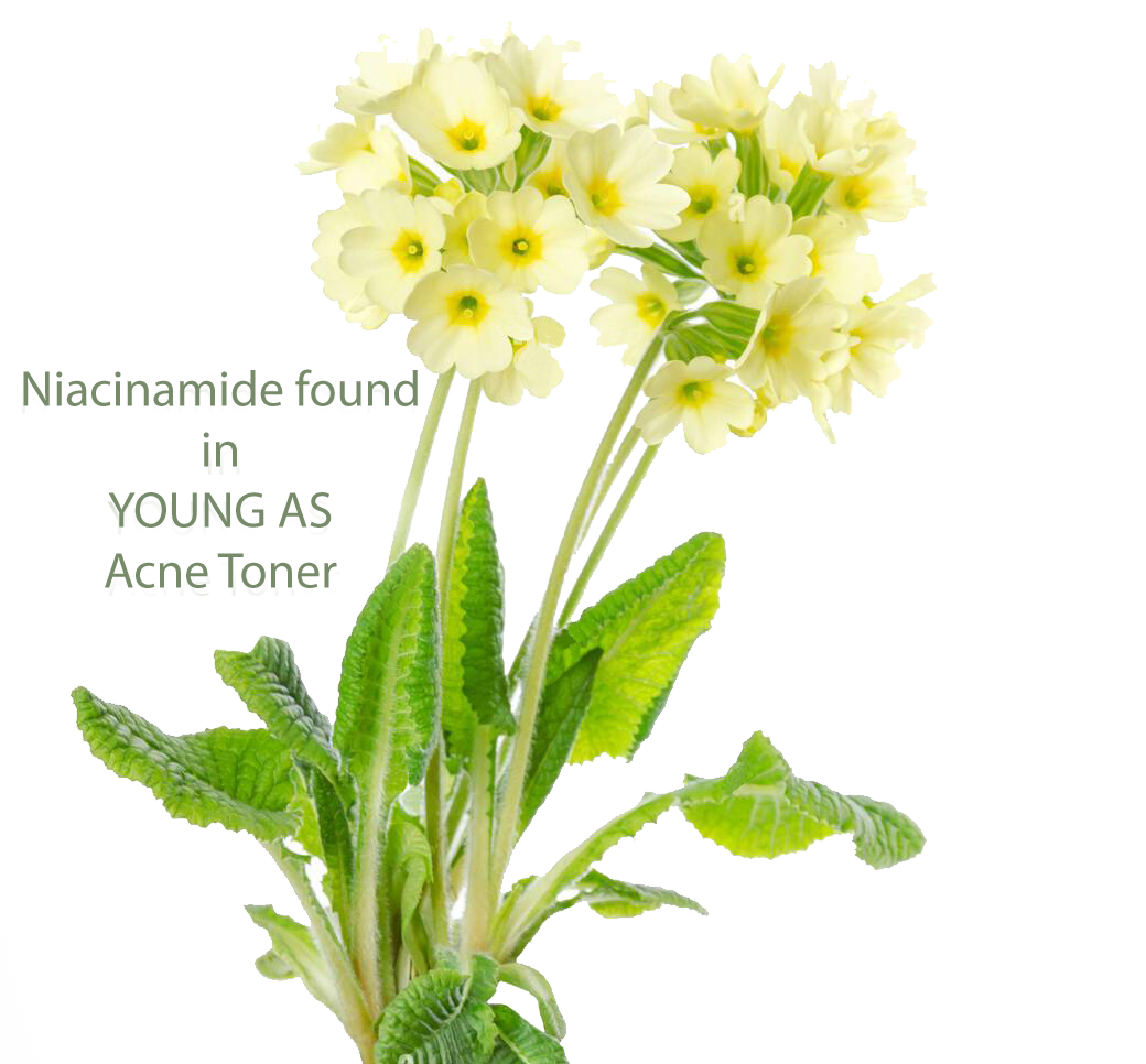 Svg+xml,%3Csvg%20viewBox%3D%220%200%20388%20360%22%20xmlns%3D%22http%3A%2F%2Fwww.w3