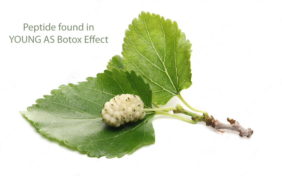 Svg+xml,%3Csvg%20viewBox%3D%220%200%20914%20572%22%20xmlns%3D%22http%3A%2F%2Fwww.w3