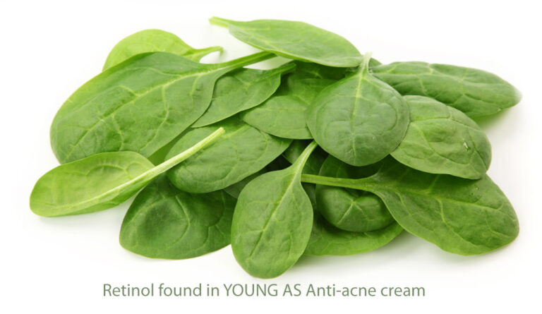 Svg+xml,%3Csvg%20viewBox%3D%220%200%20768%20445%22%20xmlns%3D%22http%3A%2F%2Fwww.w3