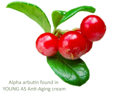 Svg+xml,%3Csvg%20viewBox%3D%220%200%20273%20229%22%20xmlns%3D%22http%3A%2F%2Fwww.w3