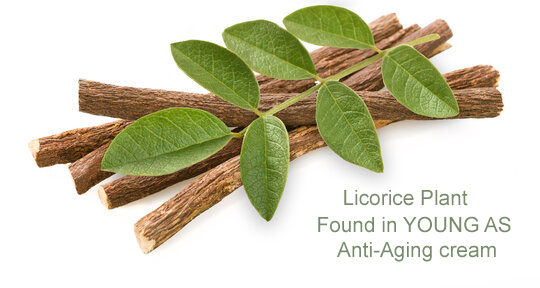 Svg+xml,%3Csvg%20viewBox%3D%220%200%20540%20288%22%20xmlns%3D%22http%3A%2F%2Fwww.w3