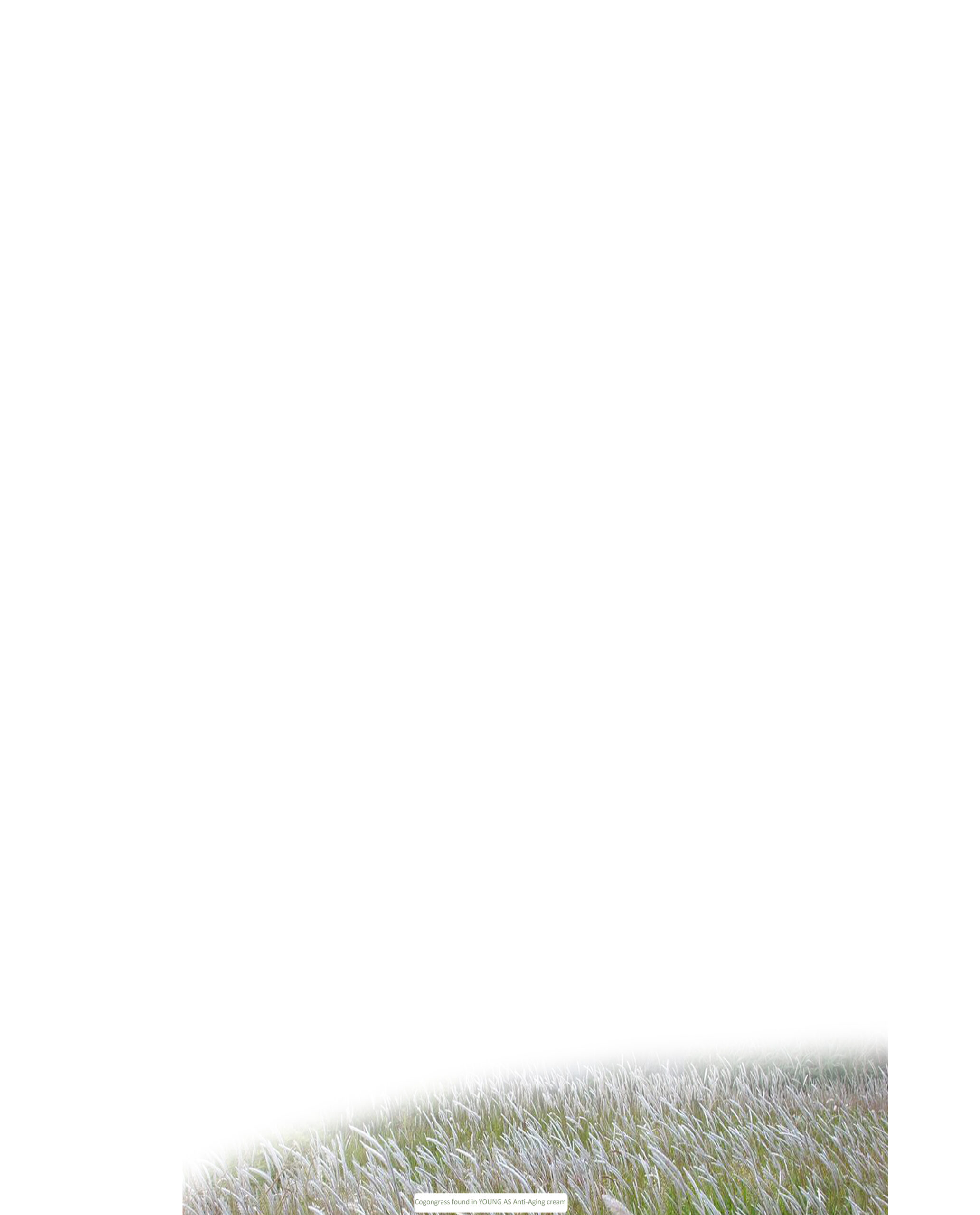 Svg+xml,%3Csvg%20viewBox%3D%220%200%202064%202560%22%20xmlns%3D%22http%3A%2F%2Fwww.w3