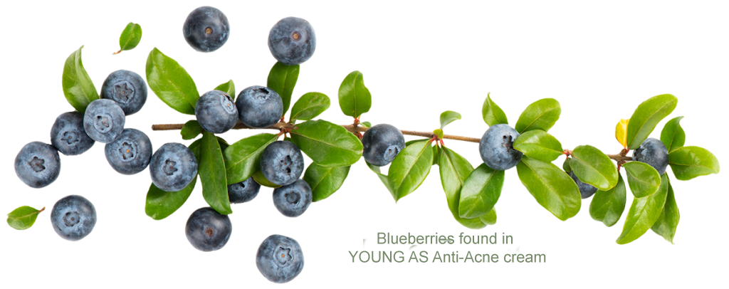 Svg+xml,%3Csvg%20viewBox%3D%220%200%201024%20406%22%20xmlns%3D%22http%3A%2F%2Fwww.w3