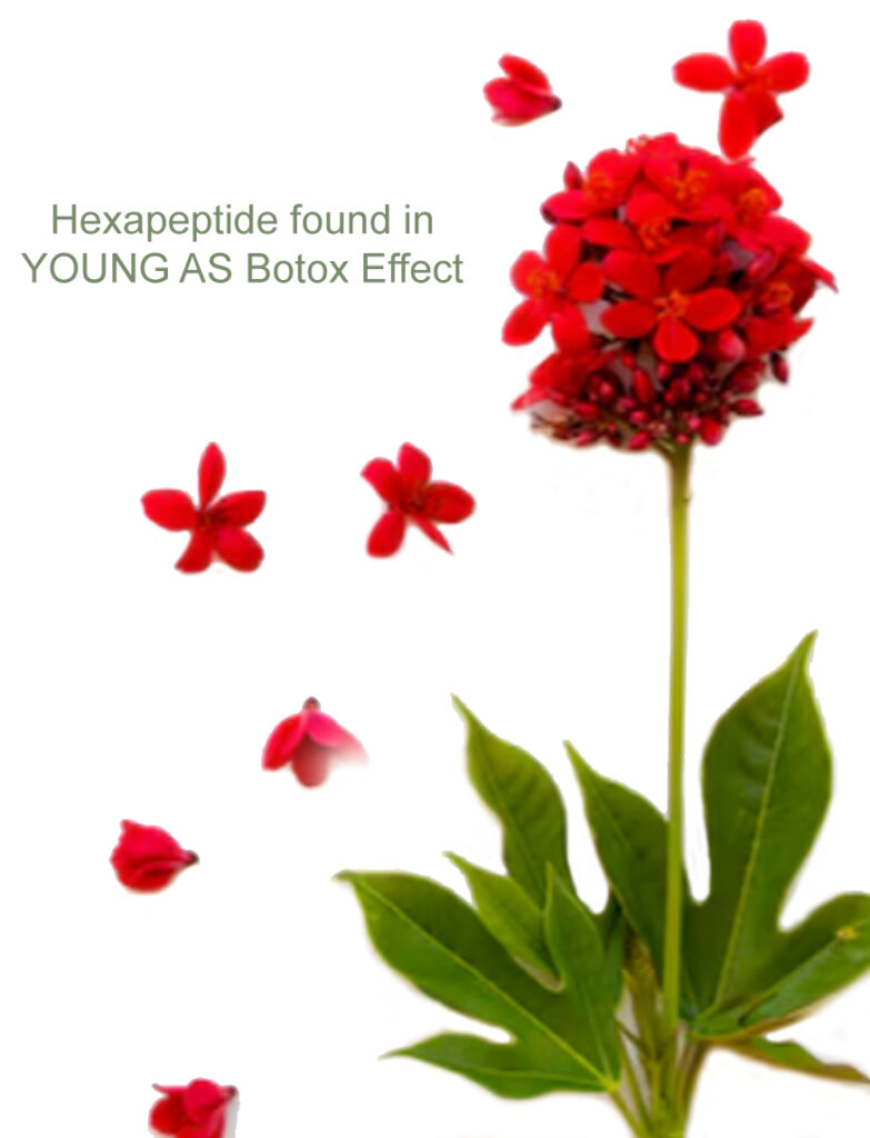 Svg+xml,%3Csvg%20viewBox%3D%220%200%20783%201024%22%20xmlns%3D%22http%3A%2F%2Fwww.w3