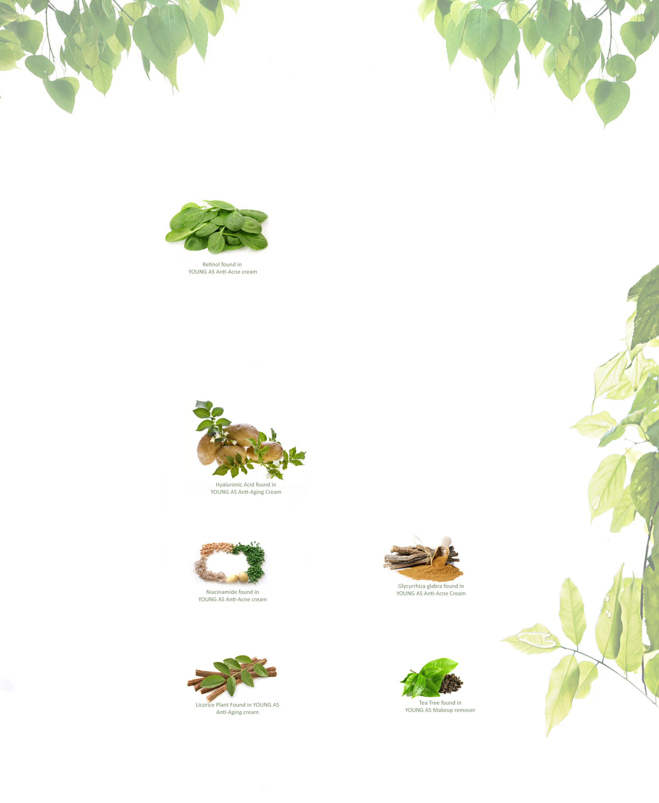 Svg+xml,%3Csvg%20viewBox%3D%220%200%202102%202560%22%20xmlns%3D%22http%3A%2F%2Fwww.w3