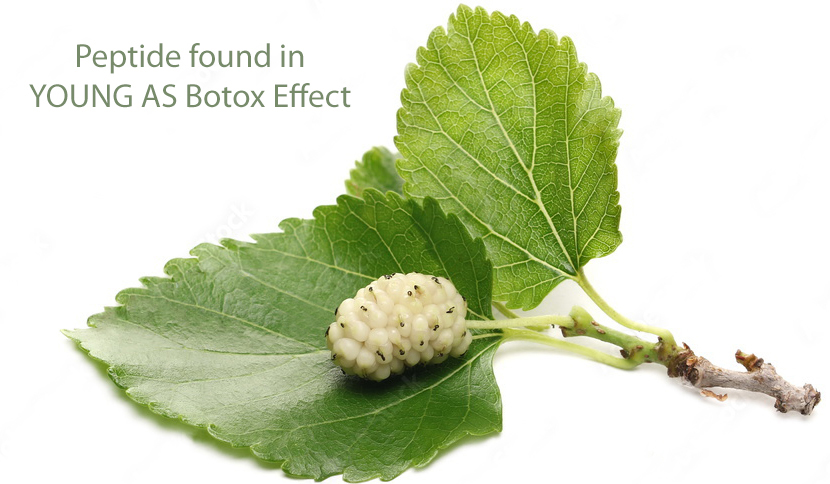 Svg+xml,%3Csvg%20viewBox%3D%220%200%20830%20484%22%20xmlns%3D%22http%3A%2F%2Fwww.w3