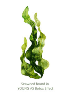 Svg+xml,%3Csvg%20viewBox%3D%220%200%20225%20300%22%20xmlns%3D%22http%3A%2F%2Fwww.w3