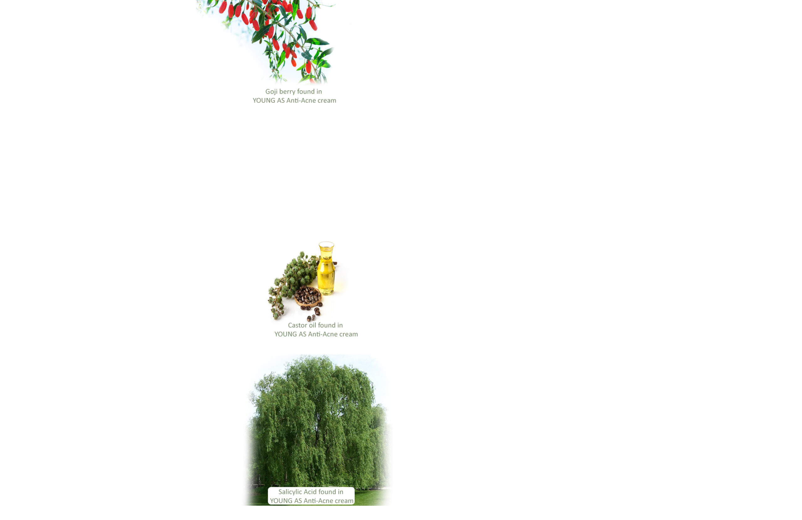 Svg+xml,%3Csvg%20viewBox%3D%220%200%202560%201660%22%20xmlns%3D%22http%3A%2F%2Fwww.w3