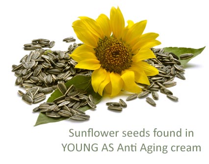 Svg+xml,%3Csvg%20viewBox%3D%220%200%20426%20336%22%20xmlns%3D%22http%3A%2F%2Fwww.w3