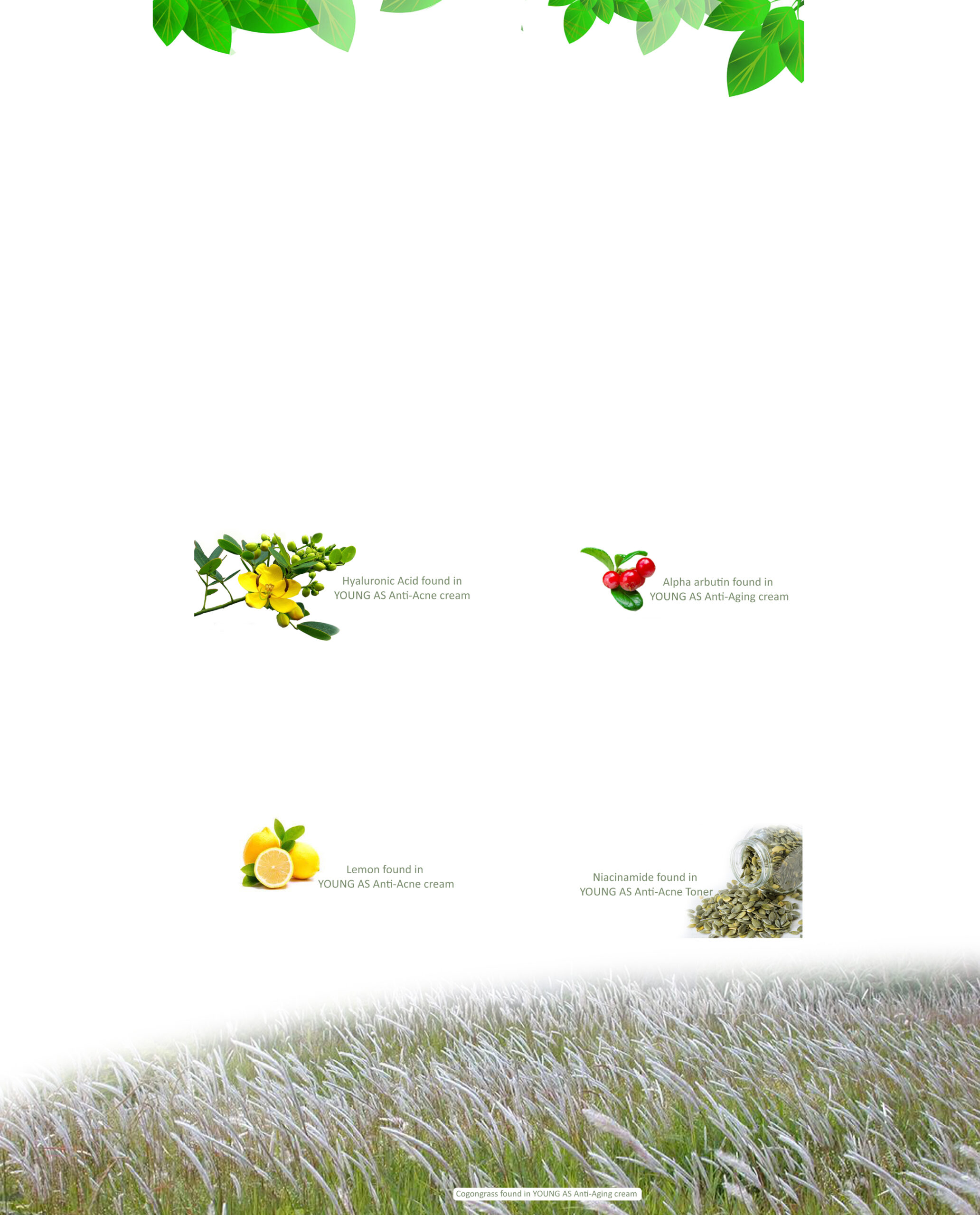 Svg+xml,%3Csvg%20viewBox%3D%220%200%202064%202560%22%20xmlns%3D%22http%3A%2F%2Fwww.w3