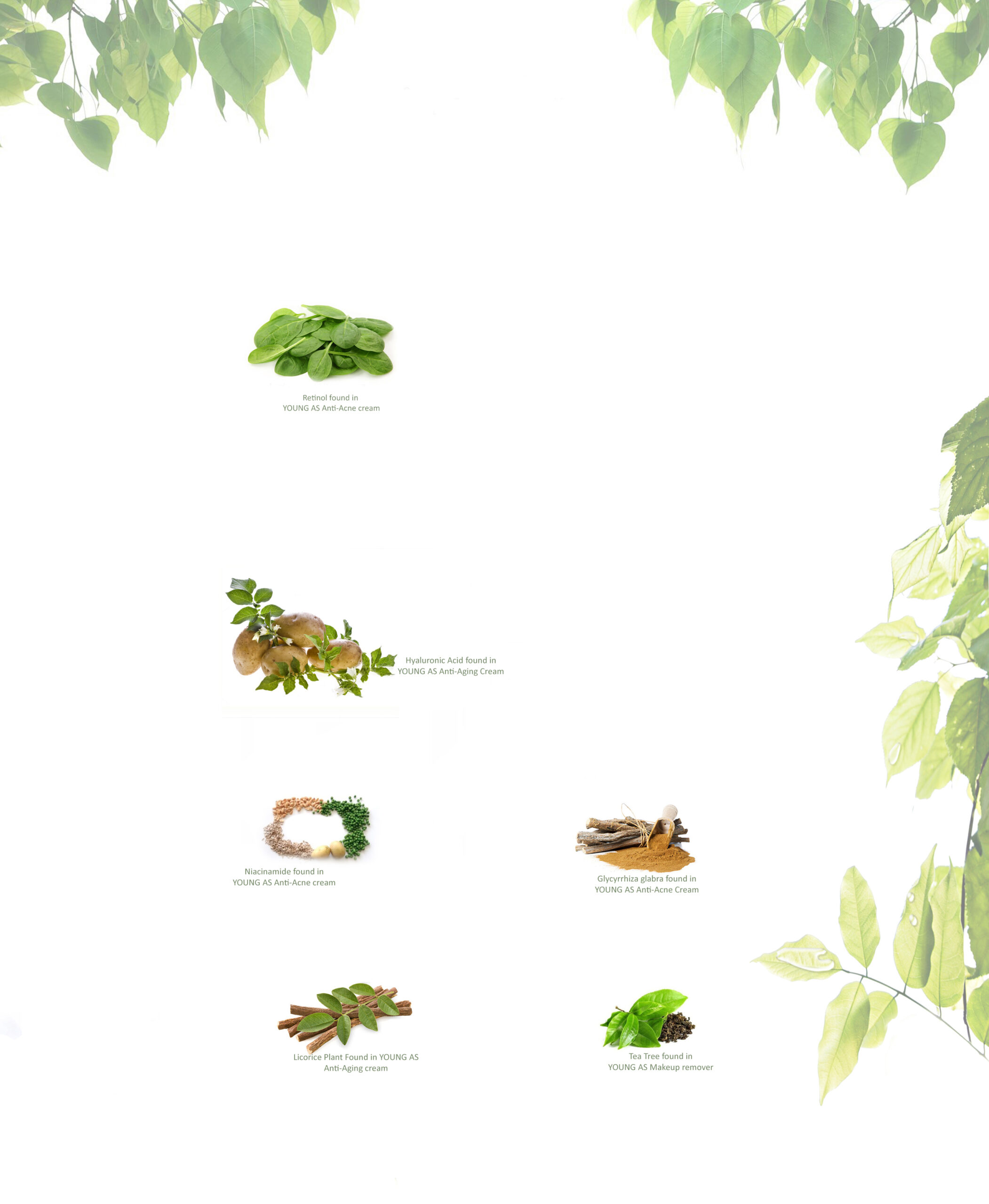Svg+xml,%3Csvg%20viewBox%3D%220%200%202102%202560%22%20xmlns%3D%22http%3A%2F%2Fwww.w3