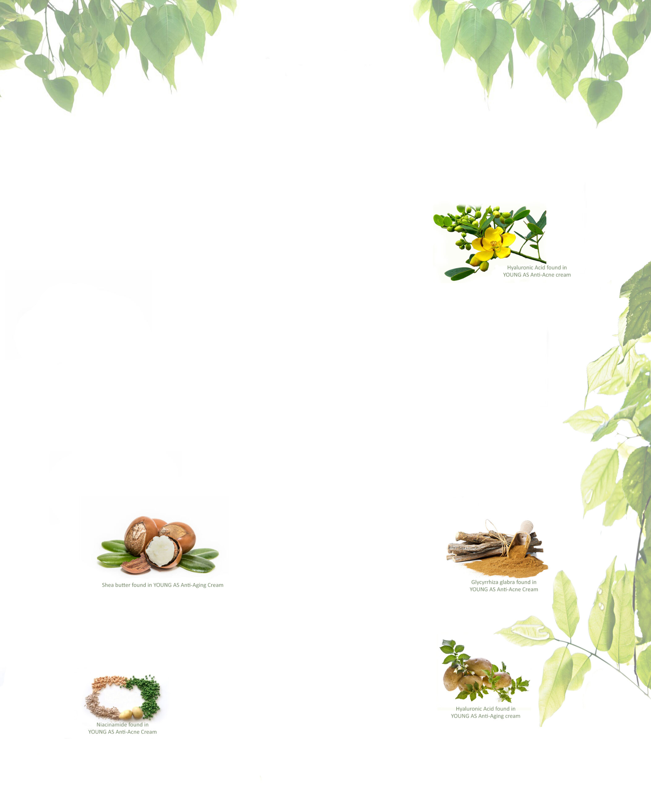 Svg+xml,%3Csvg%20viewBox%3D%220%200%202102%202560%22%20xmlns%3D%22http%3A%2F%2Fwww.w3