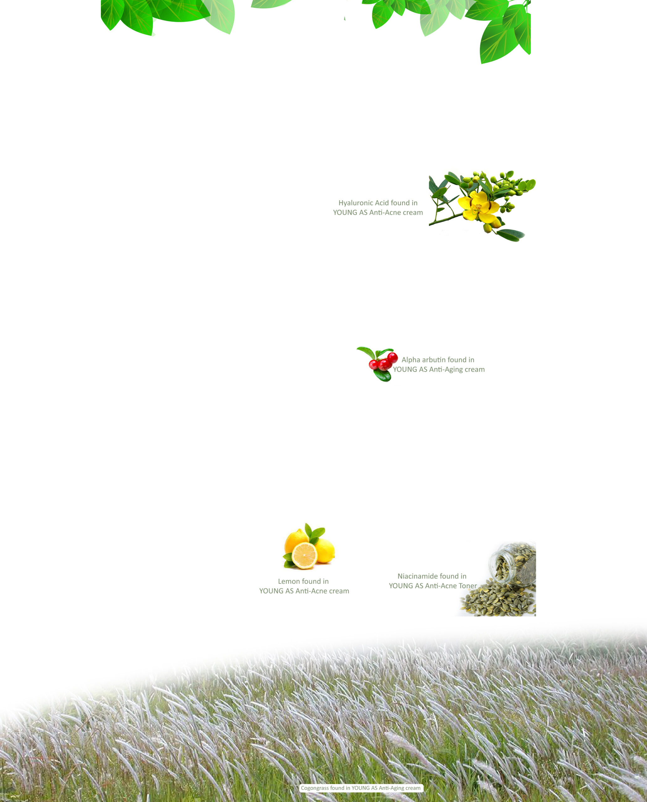 Svg+xml,%3Csvg%20viewBox%3D%220%200%202064%202560%22%20xmlns%3D%22http%3A%2F%2Fwww.w3